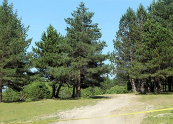 Ankara’da da ormanlık alanlara girişler yasaklandı