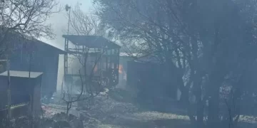Bodrum’daki yangın, ‘tiny house’ konutlarına yayıldı