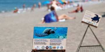 Carettalar yeni bir rekora imza atıyor: Yuva sayısı 500’e çıktı!