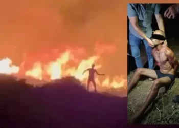 Çeşme yangınındaki kundakçı hakkında karar verildi!