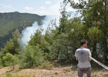 Eskişehir'de orman yangını meydana geldi Eskişehir’de orman yangını meydana geldi