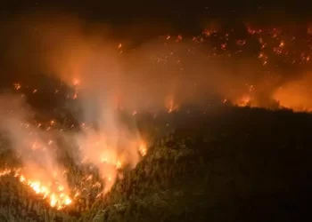 İsviçre’de orman yangını!