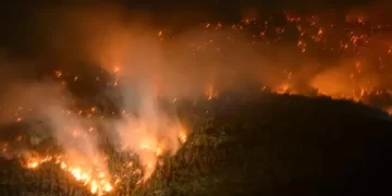 İsviçre’de orman yangını!