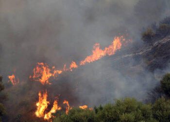 İtalya’daki orman yangını kontrol altına alınamıyor