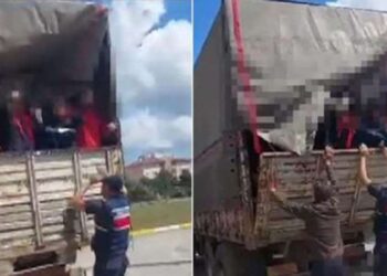 Jandarma, kaçak göçmenlere yönelik operasyonda 105 kişiyi yakaladı