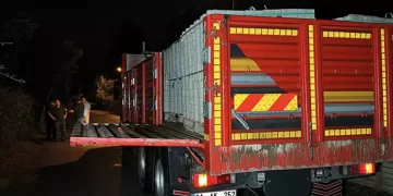 Kamyonun açılan dorse kapağı ölüme sebep oldu!