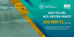 kobi habermeydan