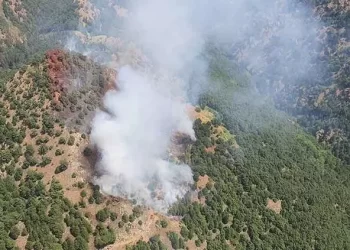 Manisa’da orman yangını: Havadan ve karadan müdahale ediliyor!