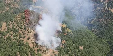 Manisa’da orman yangını: Havadan ve karadan müdahale ediliyor!