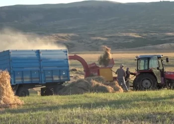 Muş Ovası’nda kış mesaisi başladı!