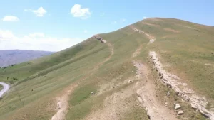 mus ta 20 milyon yillik fosiller bulundu1 habermeydan