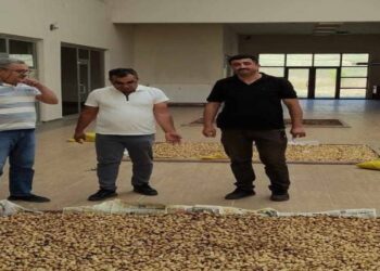 Muş’ta koruma altındaki Salep soğanlarını toplayan kişilere para cezası verildi