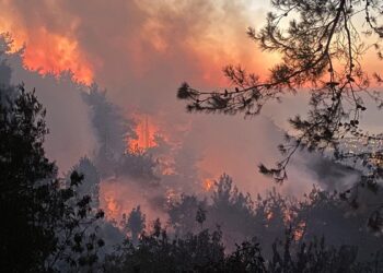 Hatay’da orman yangını! Evler tahliye ediliyor