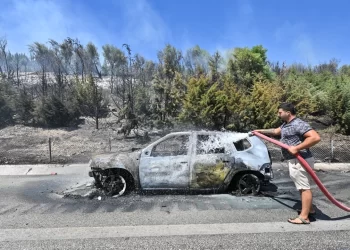Otomobil alev alarak orman yangınına neden oldu
