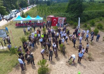 Sinop’ta 15 temmuz şehitleri anısına 251 fidan dikildi