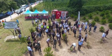 Sinop’ta 15 temmuz şehitleri anısına 251 fidan dikildi