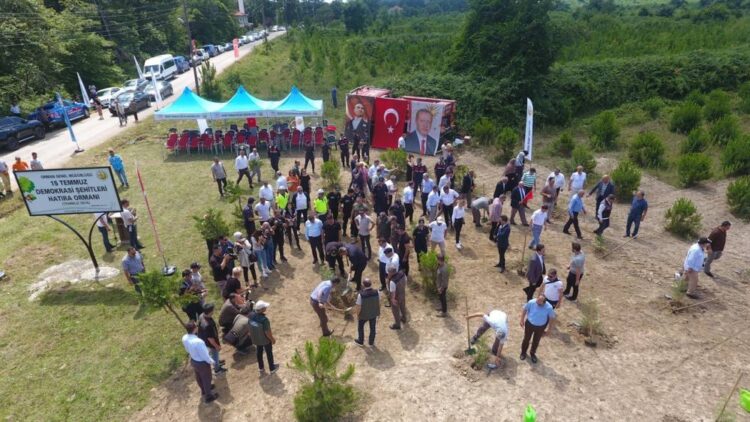 sinop ta 15 temmuz sehitleri anisina 251 cam fidani dikildi habermeydan