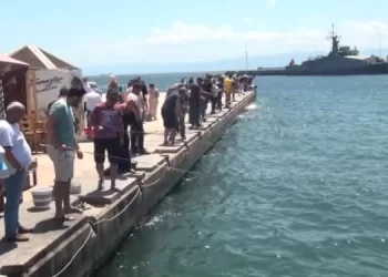 Sinop’ta deniz suyunun ani soğumasıyla tonlarca balık kıyıya vurdu