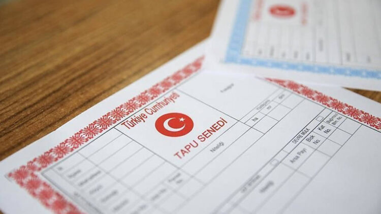 tapu habermeydan