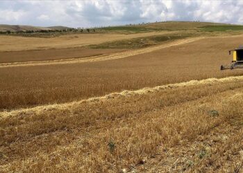 Bakan Yumaklı açıkladı: Üreticilerimizin her daim yanında olmaya devam edeceğiz