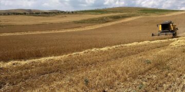 Bakan Yumaklı açıkladı: Üreticilerimizin her daim yanında olmaya devam edeceğiz