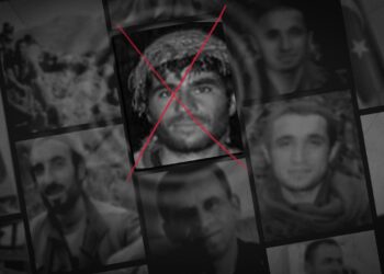 Bitlis’te Gri kategoride aranan terörist etkisiz hale getirildi