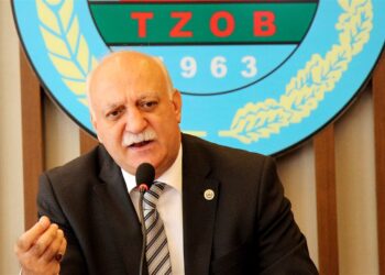 TZOB Başkanı Bayraktar açıkladı: “Üretici ürününü TMO’ya satmak istiyor” TZOB Başkanı Bayraktar açıkladı: “Üretici ürününü TMO’ya satmak istiyor”