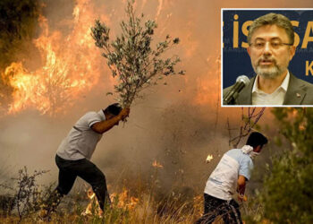 Bakan Yumaklı açıkladı: Bu yıl orman yangınlarında 6 bin 900 hektar alan zarar gördü