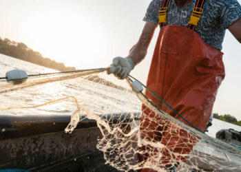 Balıkçılar 1 Eylül’de başlayacak yeni sezona hazırlanıyorlar
