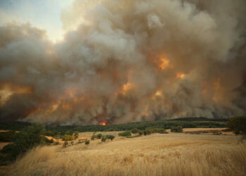 Çanakkale’de orman yangını! Yoğun müdahale devam ediyor