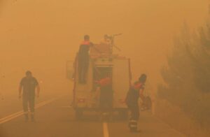 Canakkalede orman yangini4 habermeydan