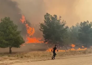 Bakan Yerlikaya Çanakkale’deki orman yangını hakkında bilgi verdi