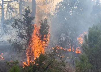 Vali Aksoy’dan Eskişehir’deki orman yangınına ilişkin açıklama