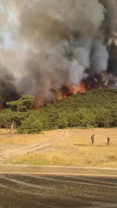 Eskisehirdeki orman yangini2 habermeydan