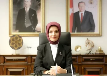 Bakan Göktaş duyurdu! SED ödemeleri hesaplara yatırıldı Bakan Göktaş duyurdu! SED ödemeleri hesaplara yatırıldı