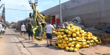 1 Eylül’de av yasağı son buluyor