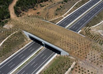 Bakan Uraloğlu açıkladı: 4 ekolojik köprünün yapımı devam ediyor