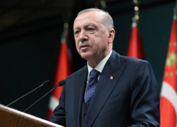 Erdoğan, belediyelere sahipsiz hayvanlarla ilgili çağrıda bulundu