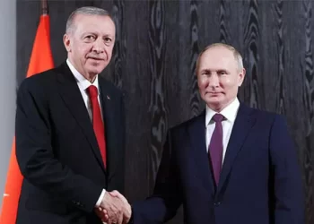 Tayyip Erdoğan, Rusya Devlet Başkanı Vladimir Putin ile bir araya geldi