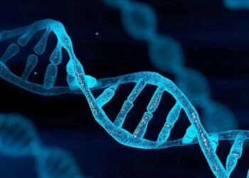 İnsan genlerinin elektrik ile yönetilebileceği bulundu