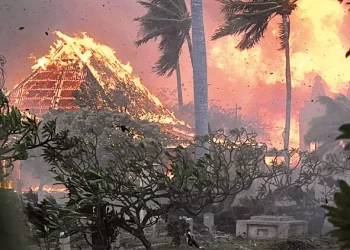 Hawaii’deki yangınlarının ardından ilk istifa gerçekleşti