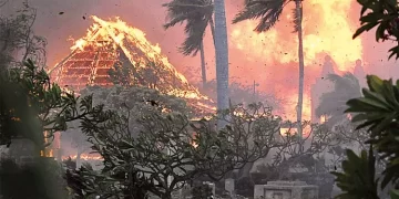 Hawaii’deki yangınlarının ardından ilk istifa gerçekleşti