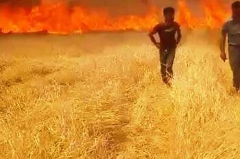 Muş Bulanık’ta 300 dönüm ekili alan yandı