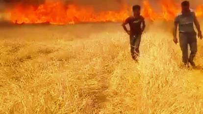 Muş Bulanık'ta 300 dönüm ekili alan yandı mus bulanik ta 300 donum ekili alan yandi habermeydan