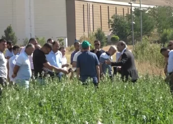 Muş’ta yetiştirilen tıbbi ve aromatik bitkilerin tanıtımı yapıldı