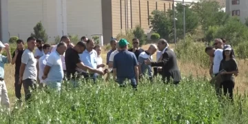 Muş’ta yetiştirilen tıbbi ve aromatik bitkilerin tanıtımı yapıldı