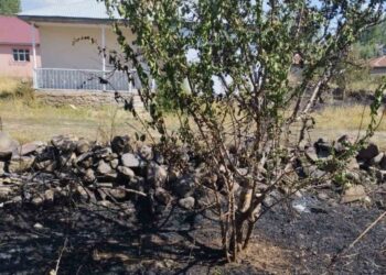 Muş Varto’da anız yangını