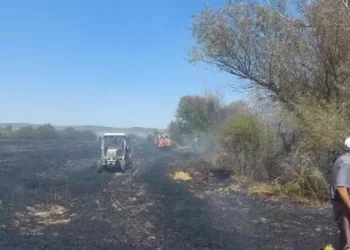 Hatay ve Muğla illerinde orman yangınları meydana geldi
