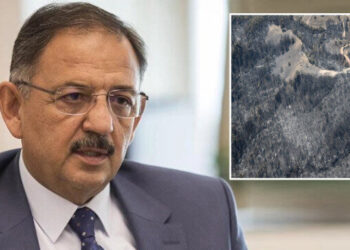 Bakan Özhaseki’den Çanakkale yangını ile ilgili açıklama