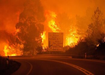 Portekiz alevler içinde! Orman yangınları kontrol altına alınamıyor